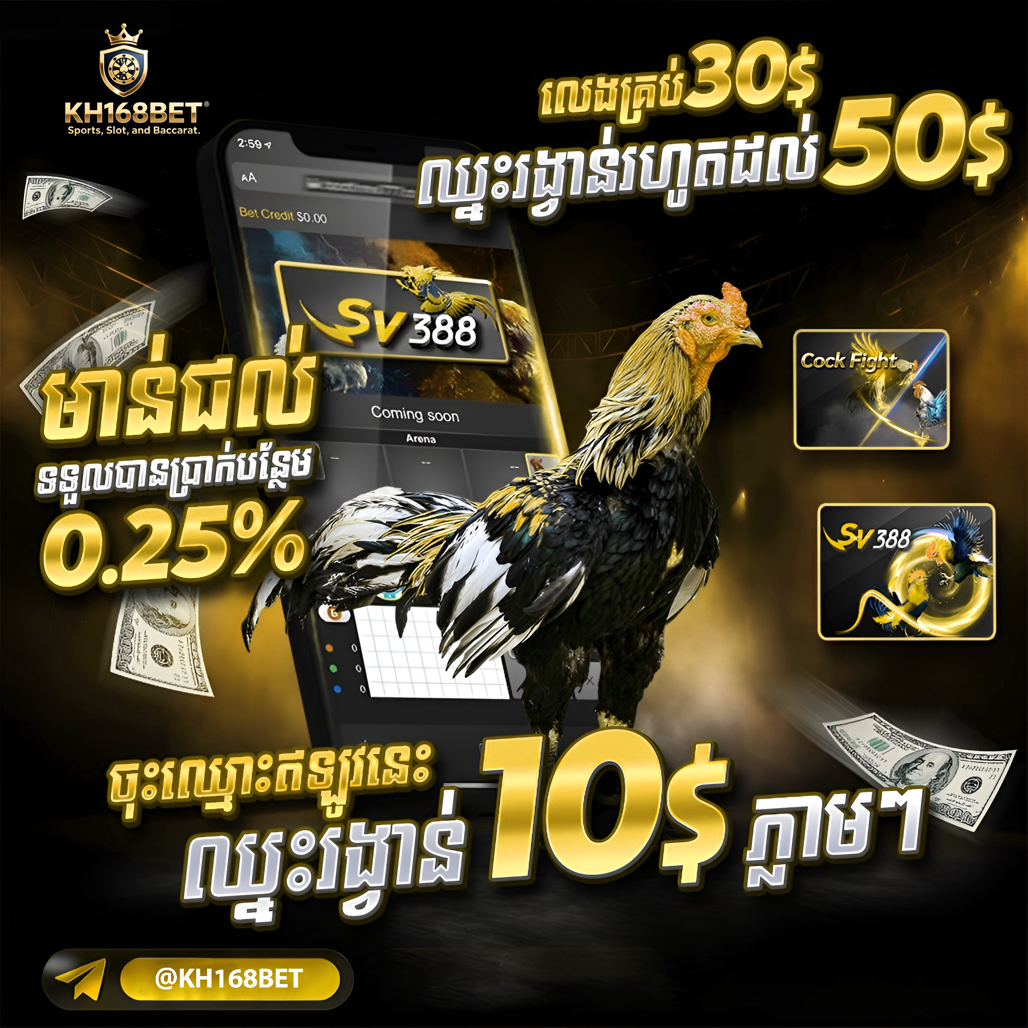 UFABET មើលទ្បាយផ្ទាល់ភ្នាល់មាន់ជល់ នៅ KH168BET ផ្ទាល់ HD ដាក់ភ្នាល់ងាយ